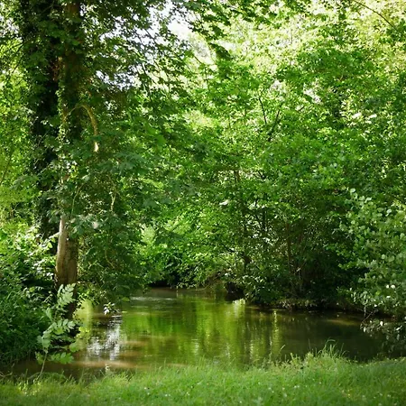 Etape De La Roulotte Conty